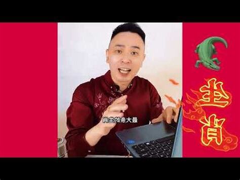 鱷魚 風水